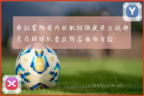 弗拉霍维奇内收肌轻微疲劳出战都灵存疑球队首发阵容面临考验