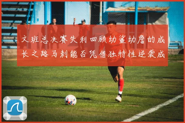 文班总决赛失利回顾幼鲨幼詹的成长之路马刺能否凭借独特性逆袭成功