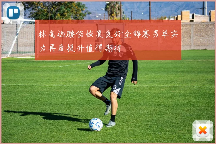 林高远腰伤恢复良好全锦赛男单实力再度提升值得期待